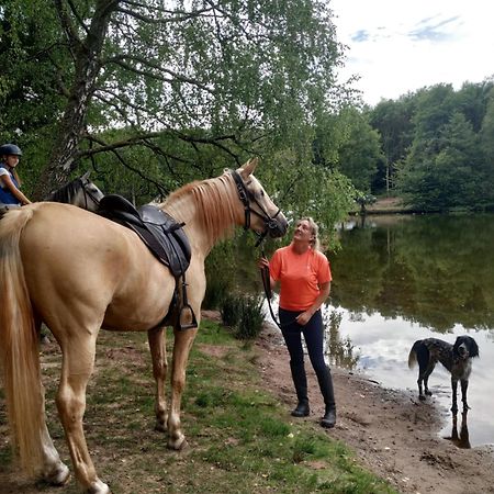 L'Echappee Verte - Gite Equestre 5 Pers Soucht Exteriér fotografie