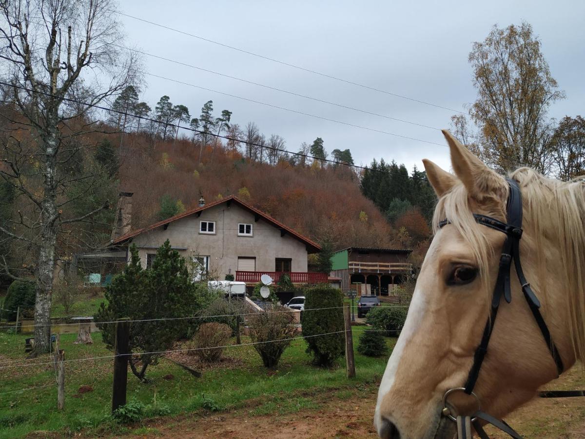L'Echappee Verte - Gite Equestre 5 Pers Soucht Exteriér fotografie
