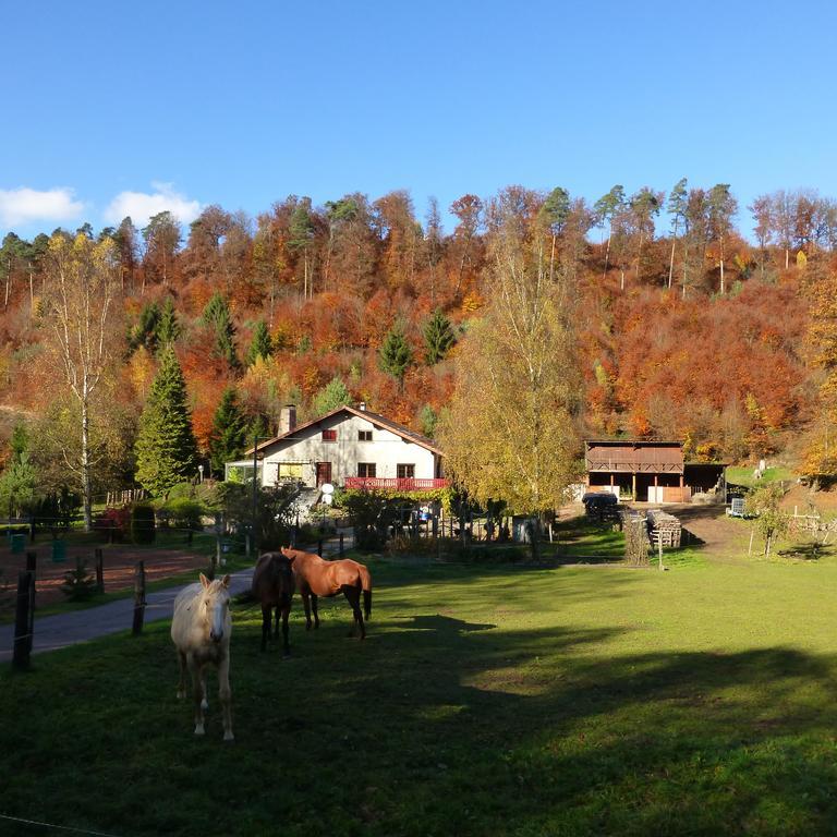 L'Echappee Verte - Gite Equestre 5 Pers Soucht Pokoj fotografie