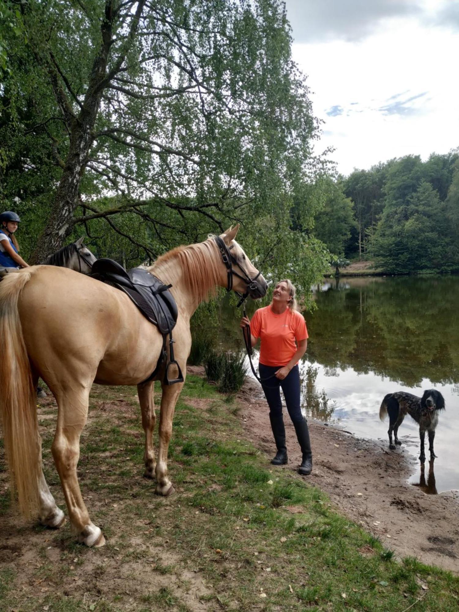L'Echappee Verte - Gite Equestre 5 Pers Soucht Exteriér fotografie
