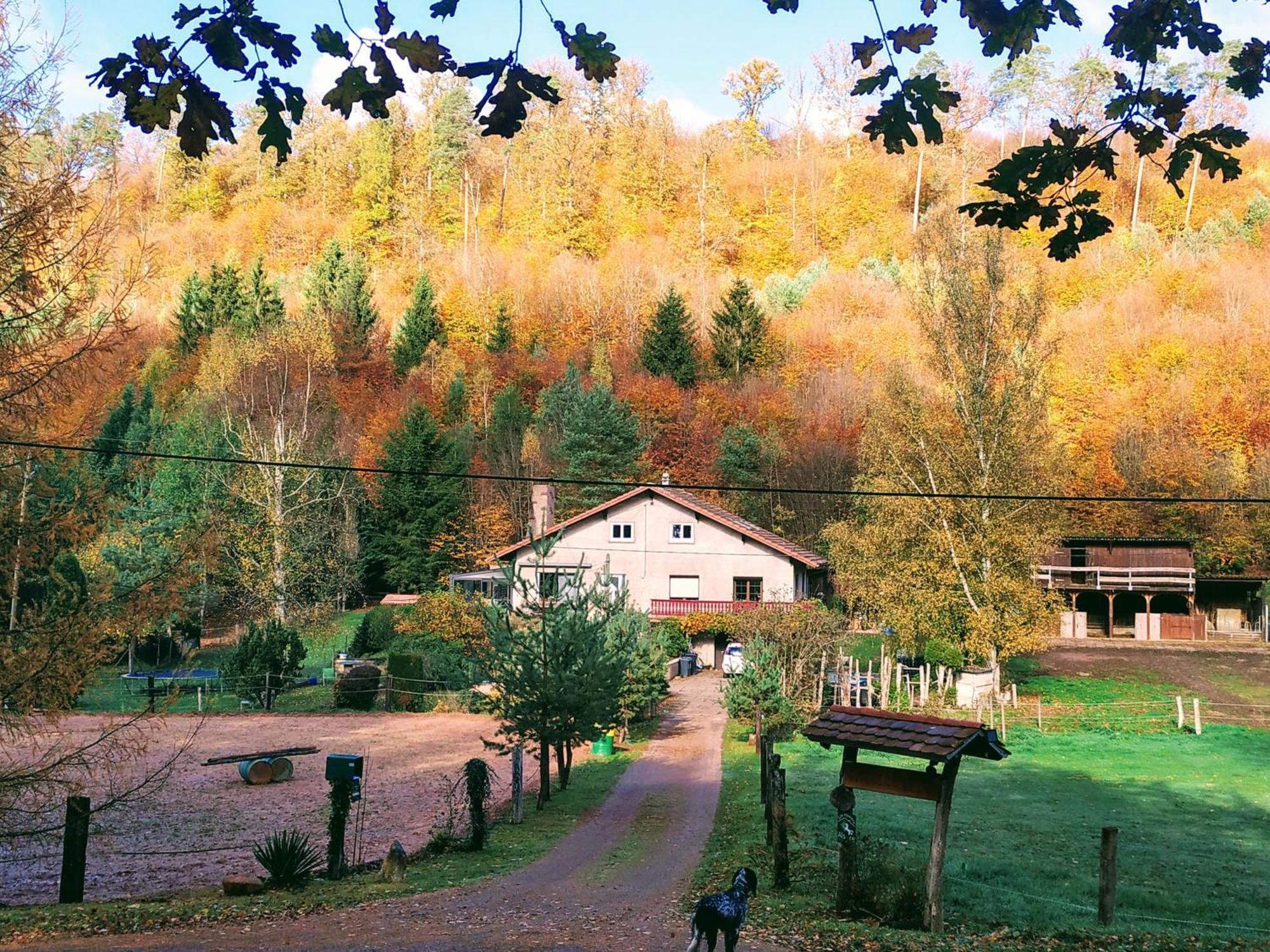 L'Echappee Verte - Gite Equestre 5 Pers Soucht Exteriér fotografie