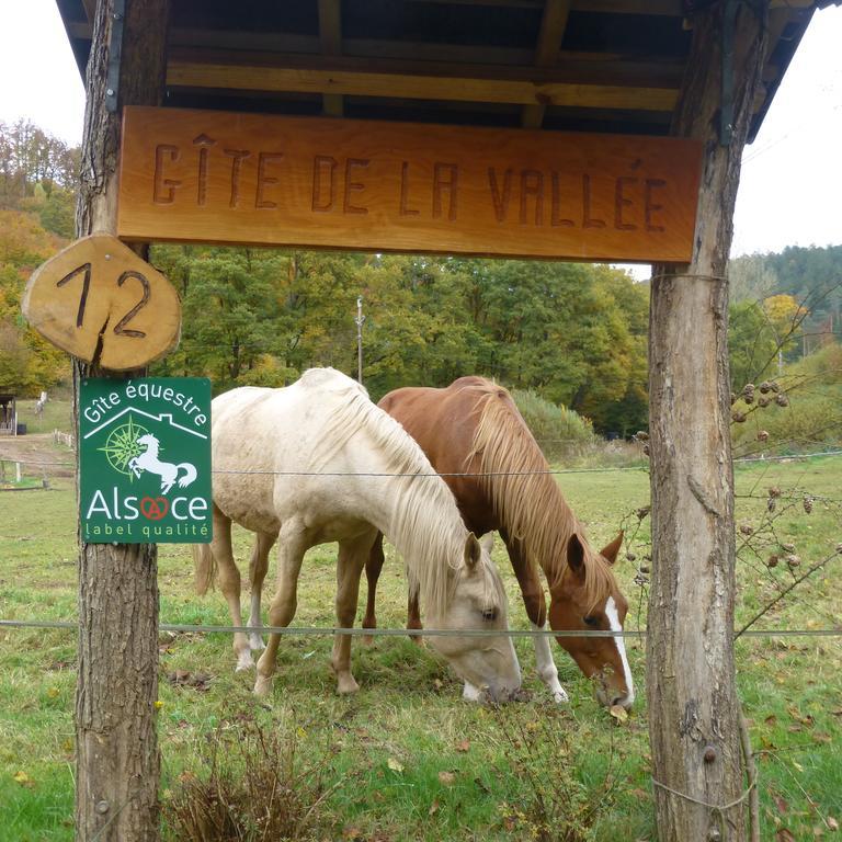 L'Echappee Verte - Gite Equestre 5 Pers Soucht Exteriér fotografie