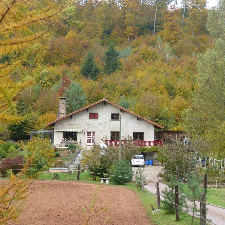 L'Echappee Verte - Gite Equestre 5 Pers Soucht Exteriér fotografie