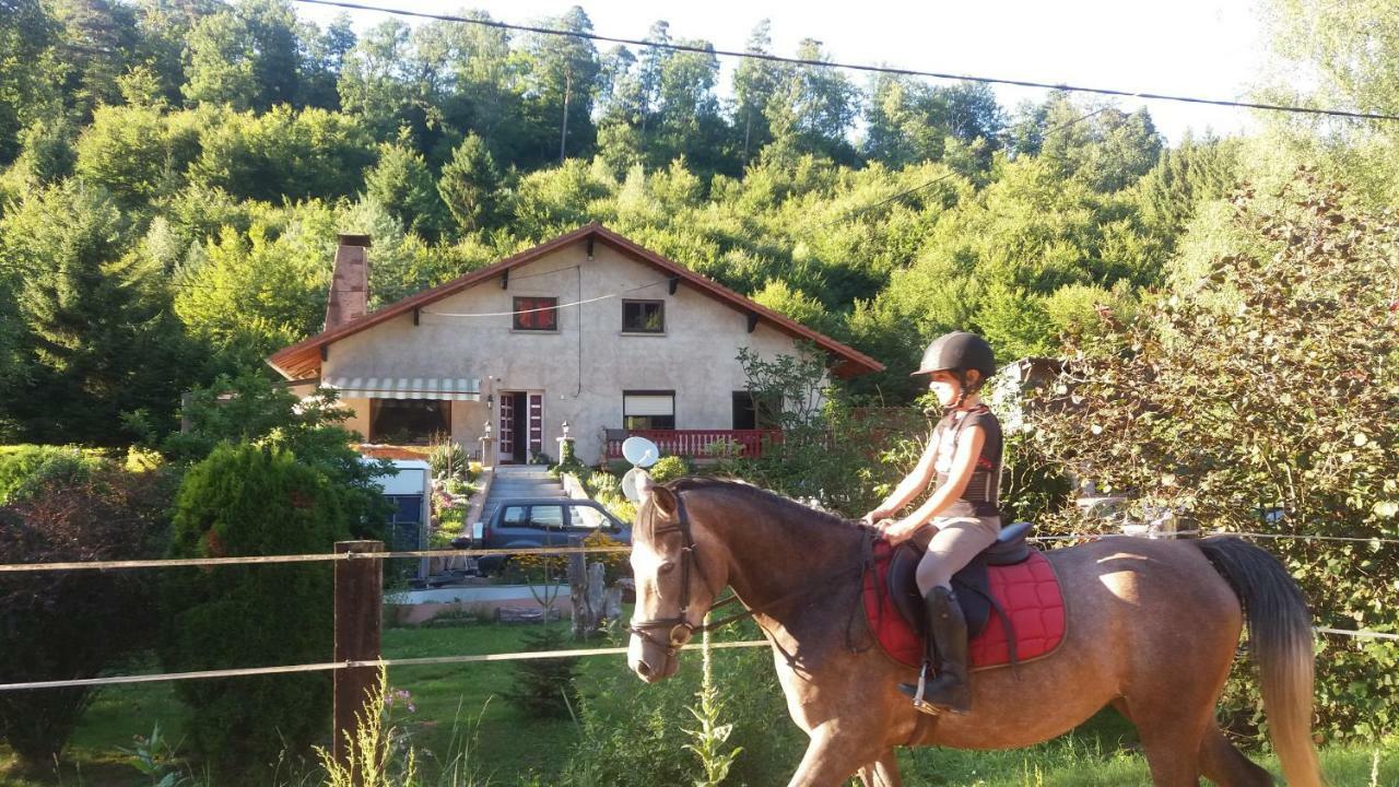 L'Echappee Verte - Gite Equestre 5 Pers Soucht Exteriér fotografie