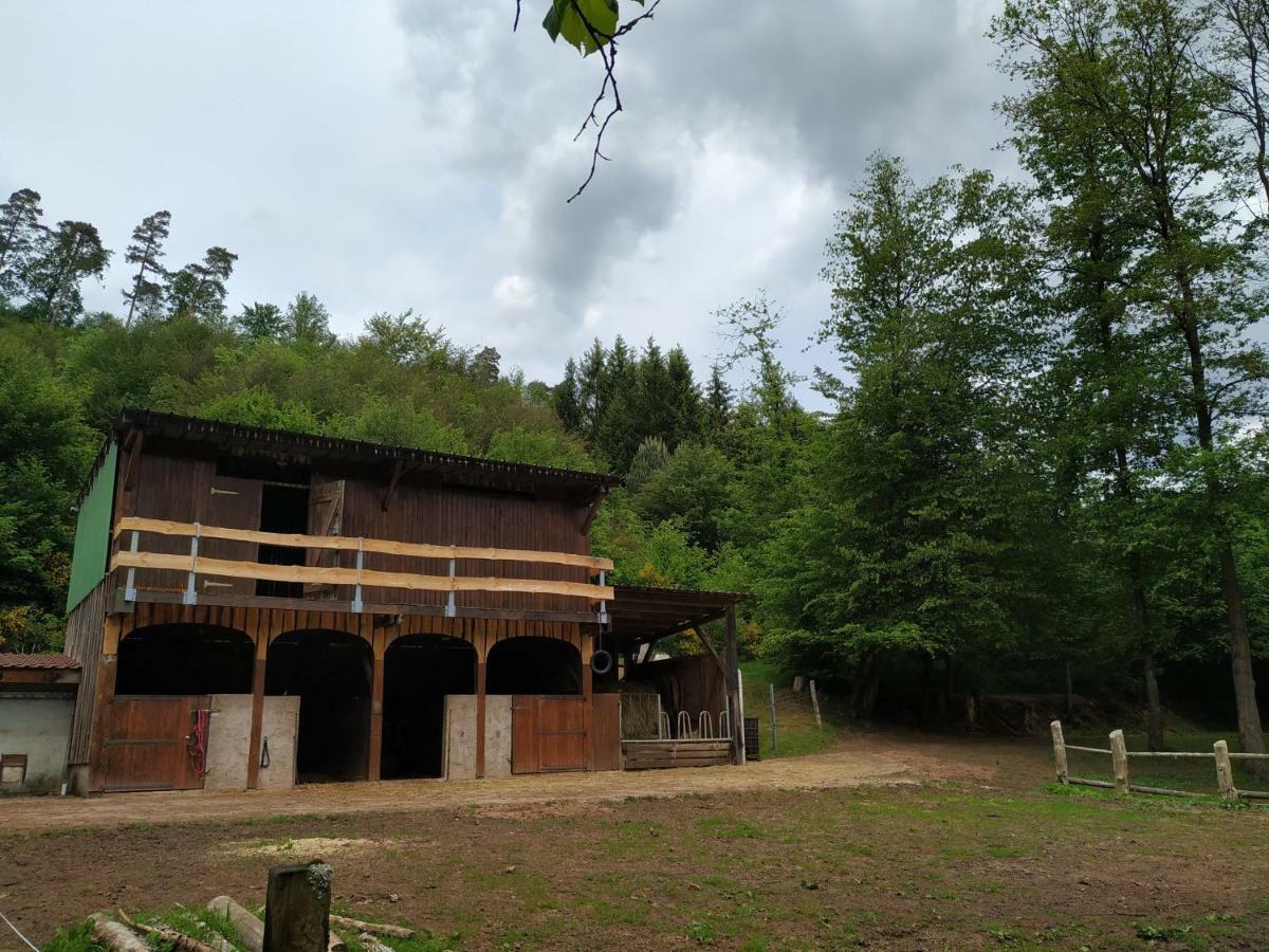 L'Echappee Verte - Gite Equestre 5 Pers Soucht Exteriér fotografie